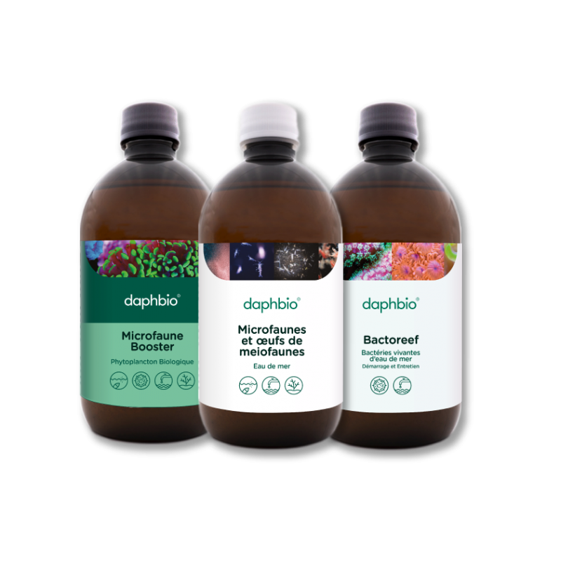 Kit de démarrage et réimplantation pour aquarium 500 ml