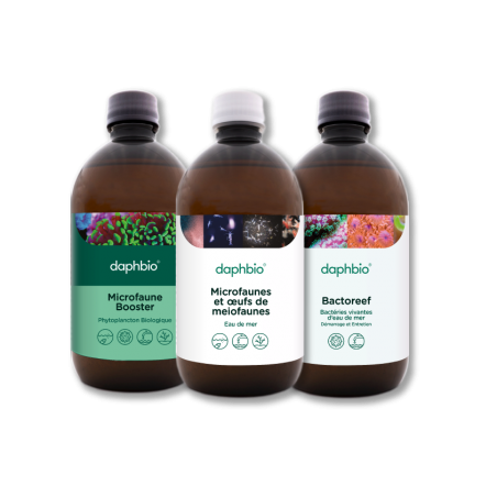 Starter Kit 500 ml