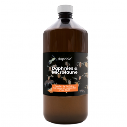 Daphnia e microfauna viva  1L