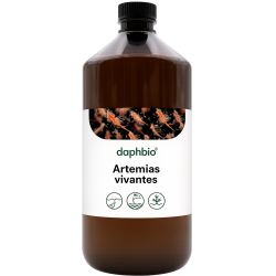 Artémias Vivantes Enrichies