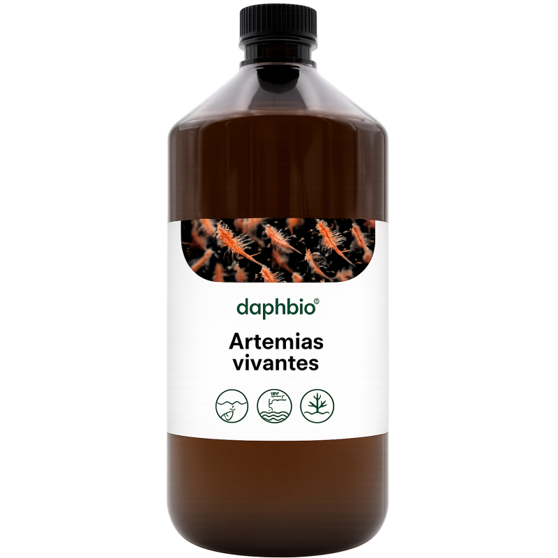 Artémias Vivantes Enrichies
