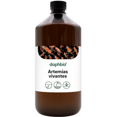 Artémias Vivantes Enrichies