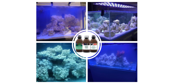 Produits de démarrage aquarium eau de mer