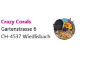 Crazy Corals