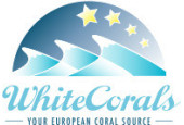 WHITECORALS VERTRIEBS