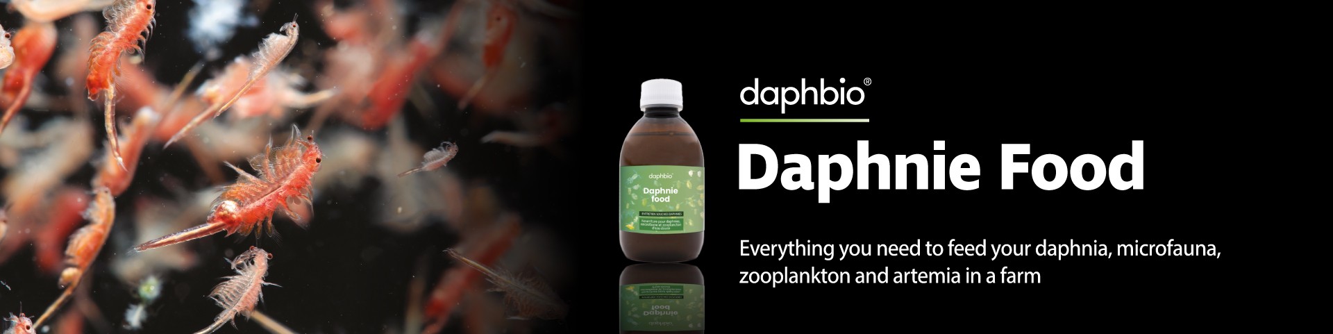 Daphbio - Daphnie Food