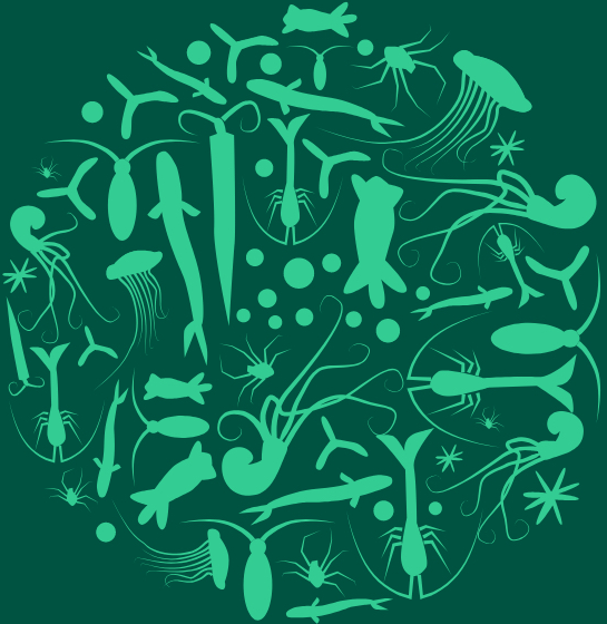 Log in to your account